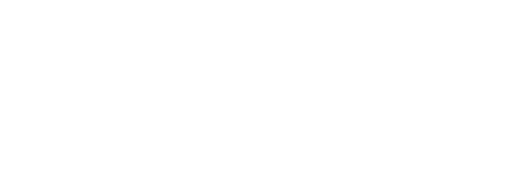 UPV 1