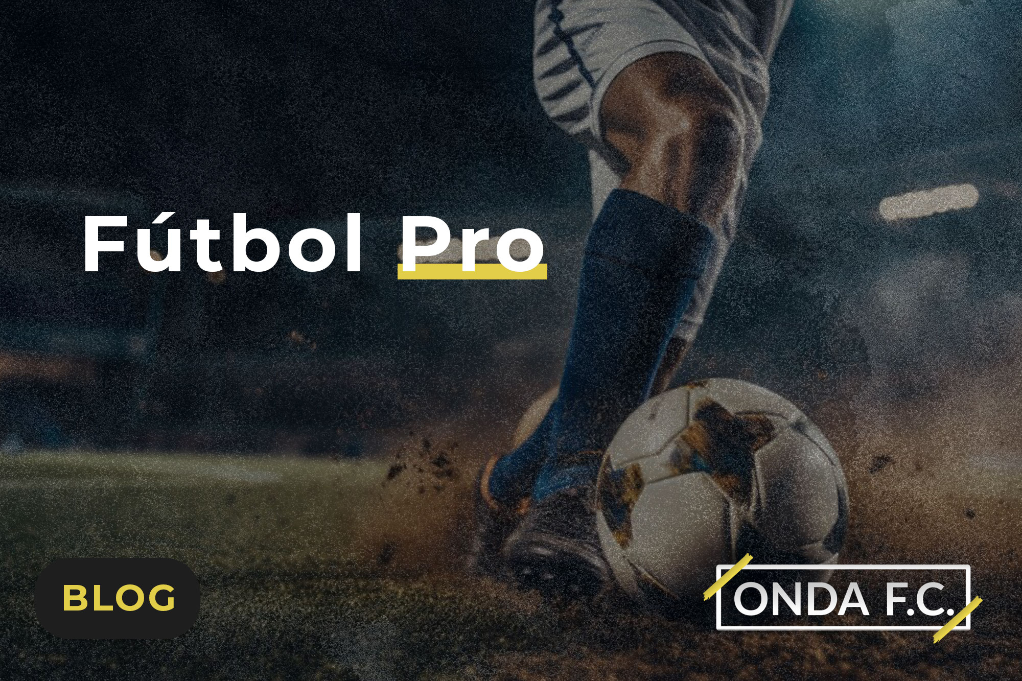 Read more about the article Fútbol Pro